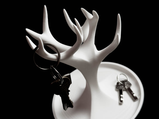 Ramo – Porta Gioielli & Chiavi Decorativo 🌿