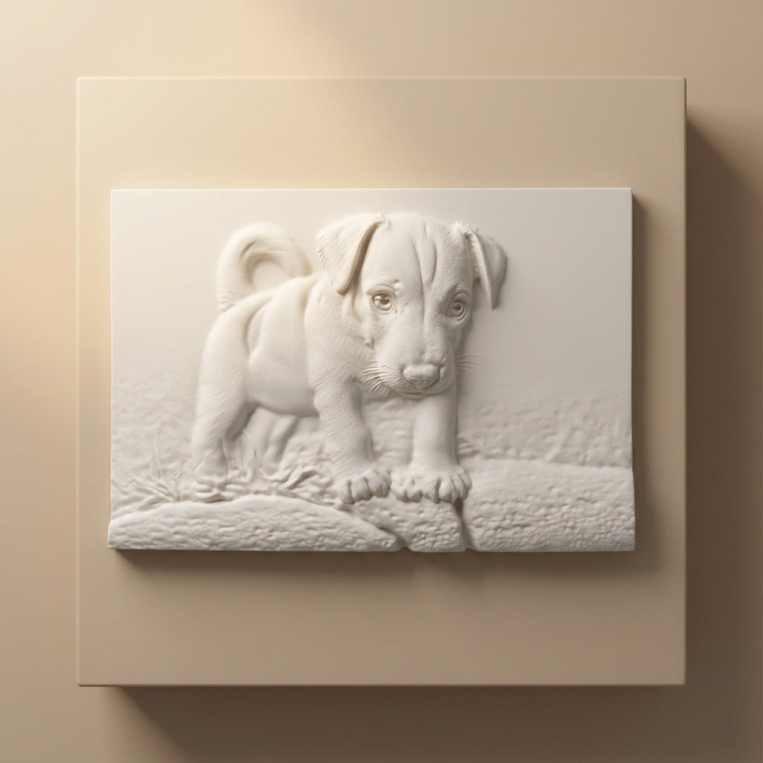 Il tuo Amico in rilievo