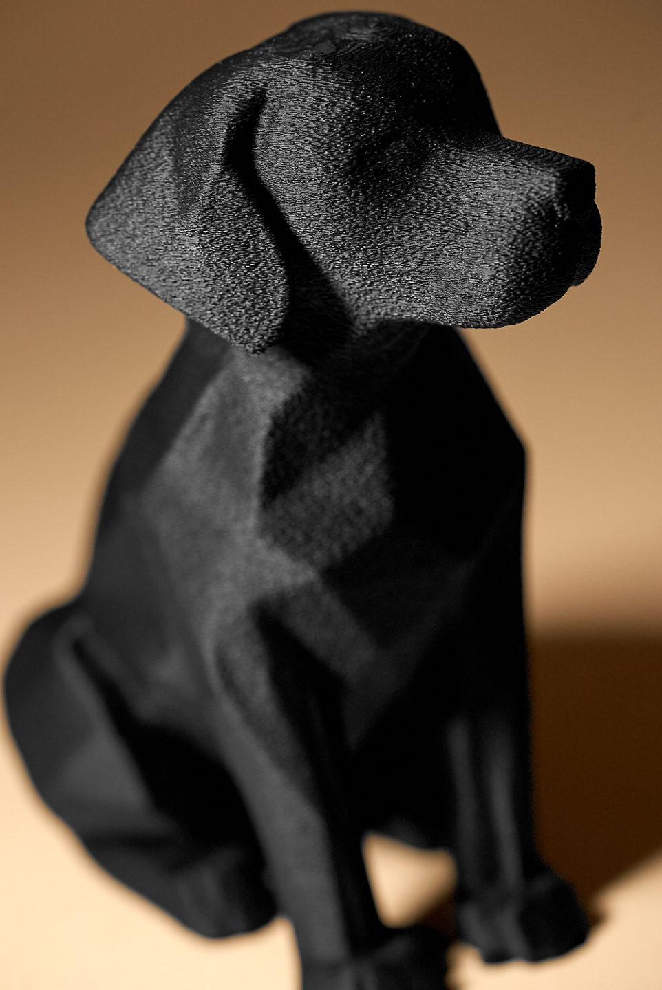 ShadowPaw Mini™ – Scultura decorativa di cane moderno 🐕‍⬛