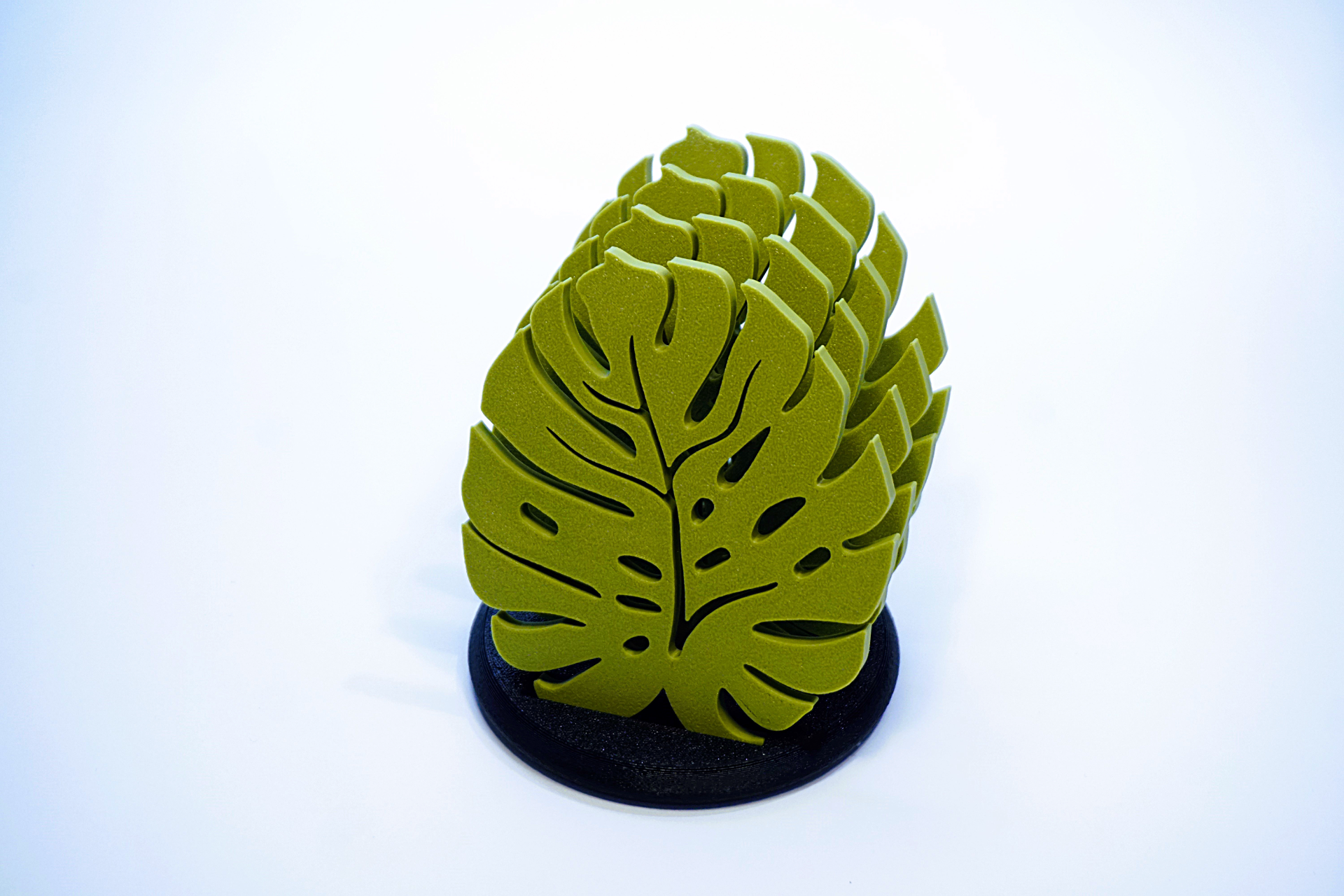 Monstera Leaf Coaster 🌿 | Sottobicchiere di Design Naturale
