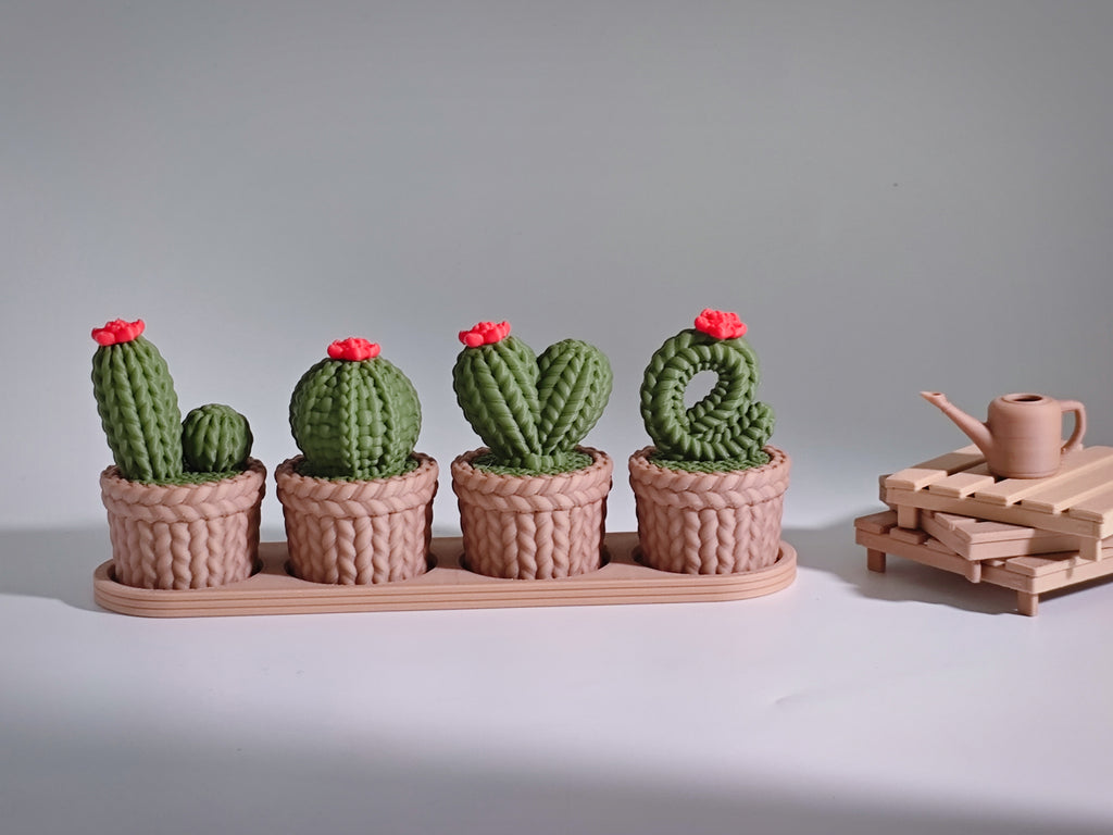 Cactus Love Garden – Set Decorativo 🌵💖