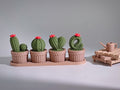 Cactus Love Garden – Set Decorativo 🌵💖