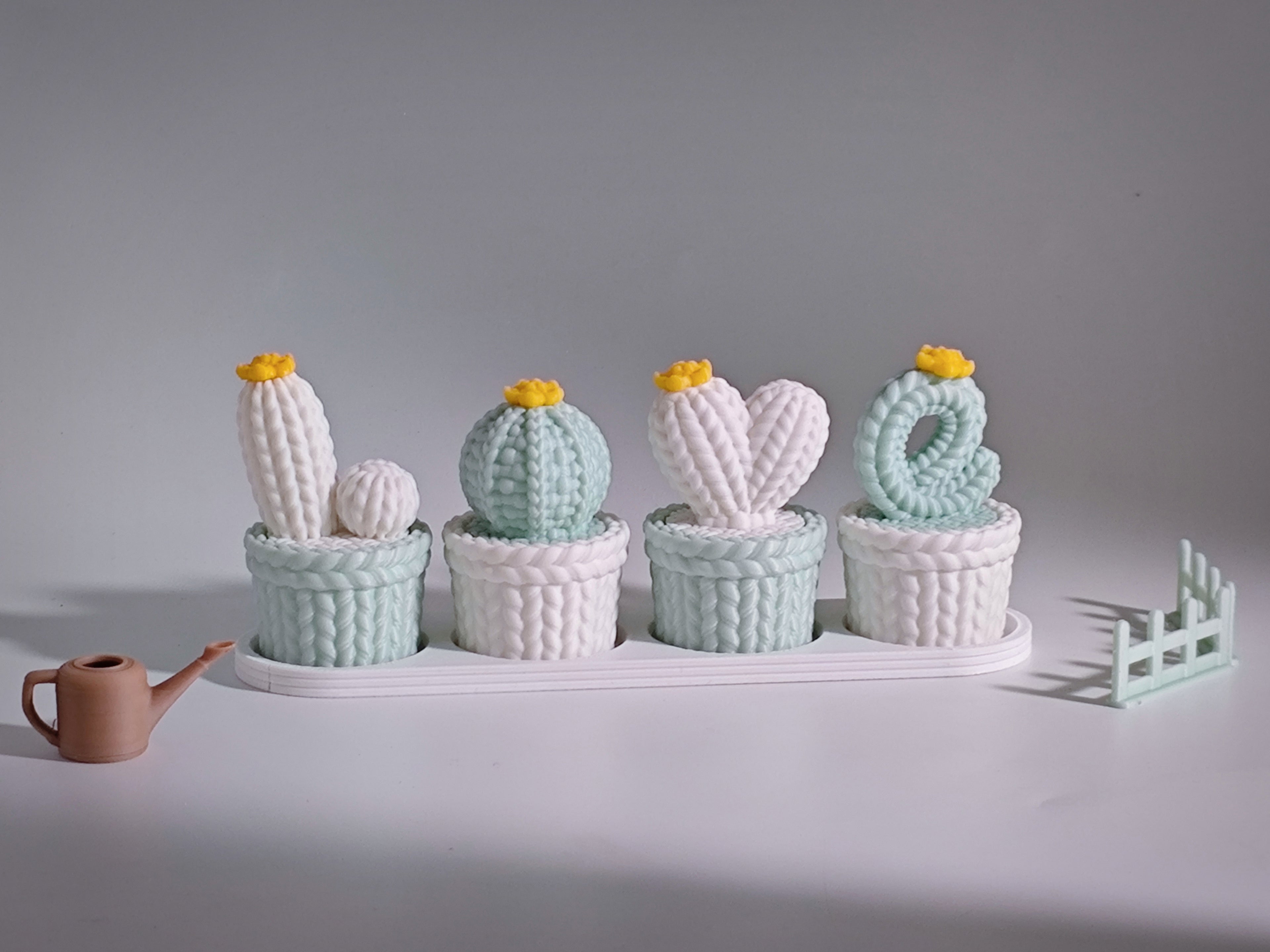 Cactus Love Garden – Set Decorativo 🌵💖