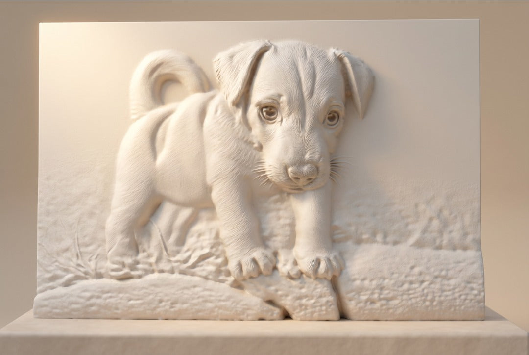 Il tuo Amico in rilievo